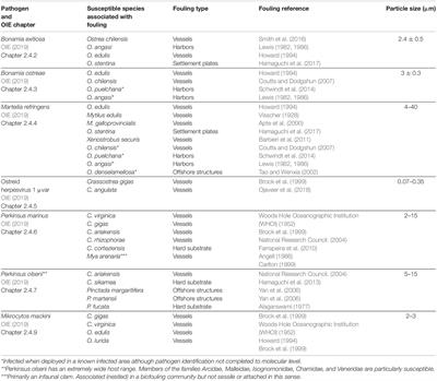 The Role of Vessel Biofouling in the Translocation of Marine Pathogens: Management Considerations and Challenges